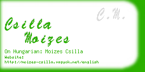 csilla moizes business card